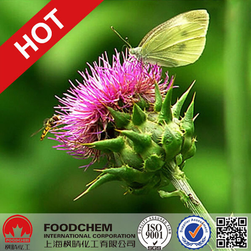 Milk Thistle Extract