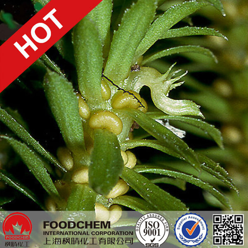 Huperzine A Powder Extract 98% - Food/Pharmaceutical Grade 25kg Packaging Fine White Powder 99% Assay Heavy Metal â¤10ppm
