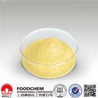 Ferrous Lactate - Cas No. 5905-52-2, Einecs No. 227-608-0 | Light Yellow Crystalline Powder, Food Grade, Water Soluble, High Purity, Versatile, Enhances Nutrition