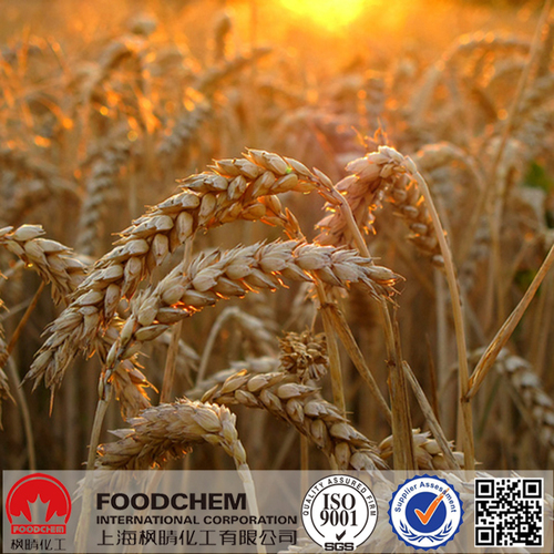 Wheat Starch