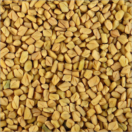 Fenugreek Seeds