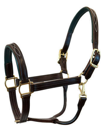 Horse Accessories