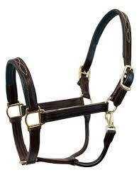 Saddlery Harness