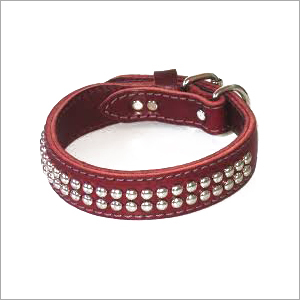 Dog Collars