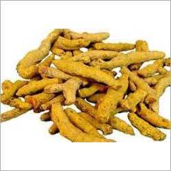 Fresh Turmeric Fingers