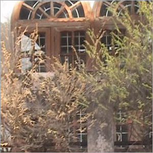 Pest Disease Control Vitalizer