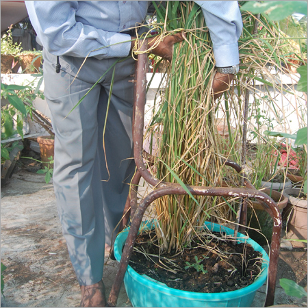 Agro Vitalizer