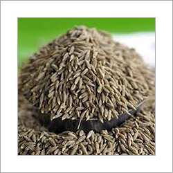 Cumin Seed