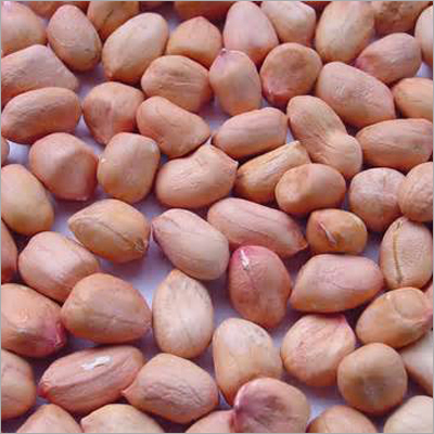 Fresh Groundnut