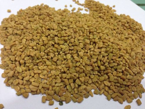 Fenugreek Seed - Organic, Powdered, Multi-Color | Delectable Flavor, Long Shelf Life, Unmatched Aroma, Excellent Nutritional Value