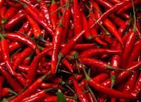 Red Chilli