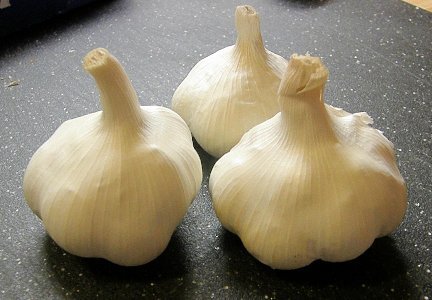 Fresh Vegetables