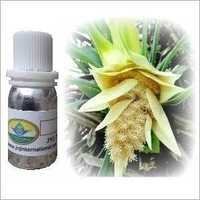 Kewra Fragrance Oil