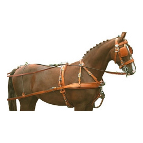 Riding Harnesses
