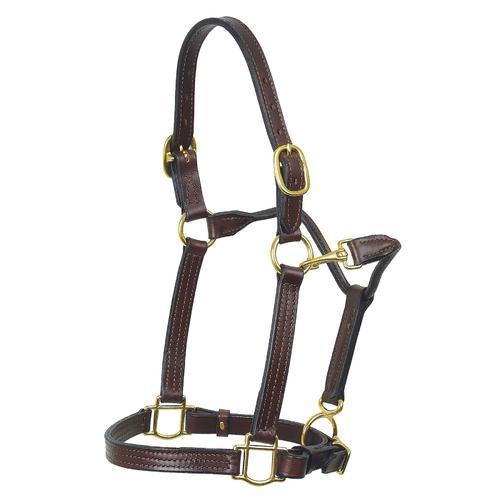 Rope Halters