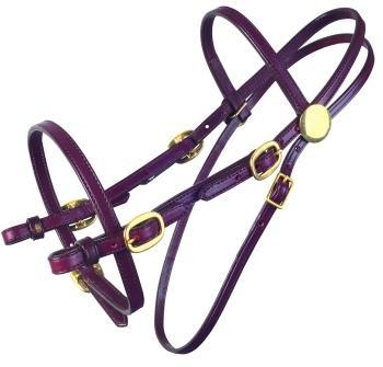 Western Bridles