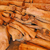 Amyris Oil
