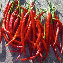 Dried Red Chilli