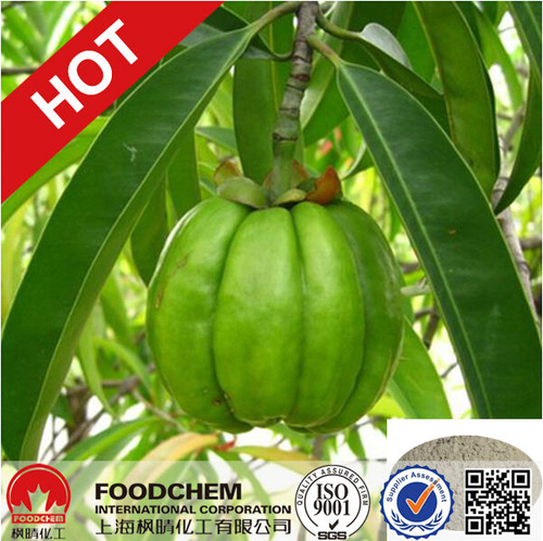 Garcinia Cambogia Extract Powder