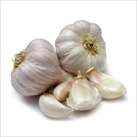 Organic Garlic