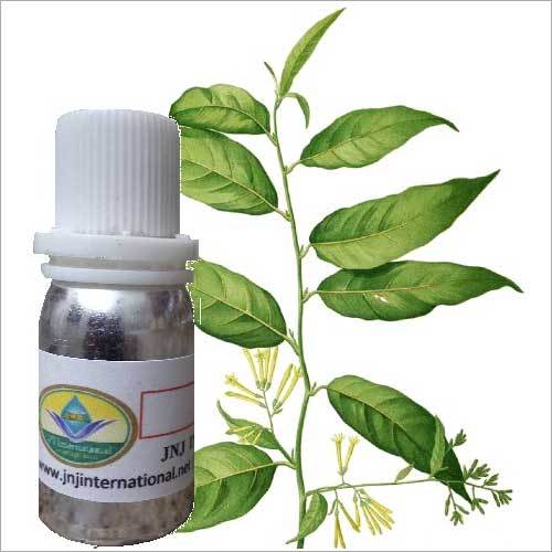 Ratrani Fragrance Oil