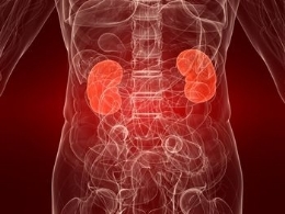 Renal Failure Treatments