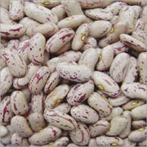 Light Speckled Kidney Beans