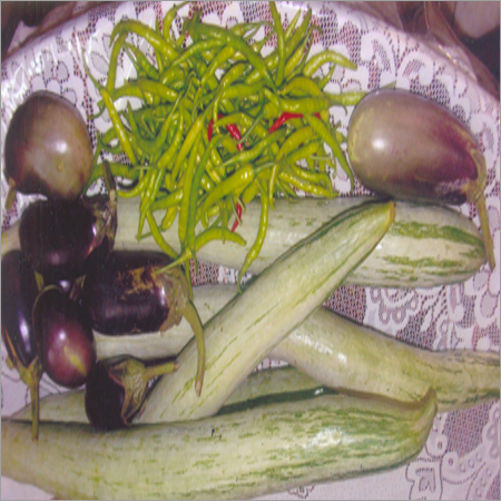 Vegetable Pest Control Vitalizer