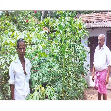 Natural Plant Vitalizer