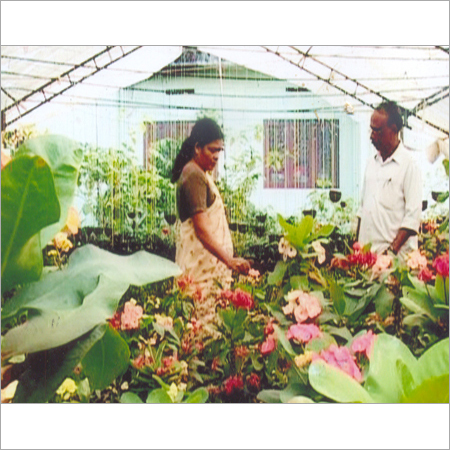 Flower Pest Control Vitalizer