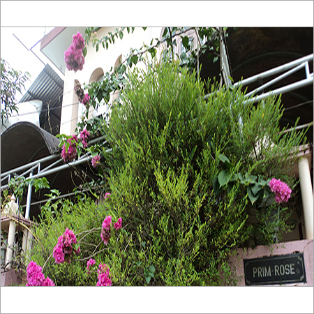 Plant Pest Vitalizer