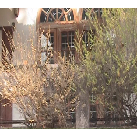 Industrial Vitalizer