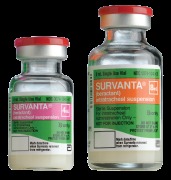Survanta
