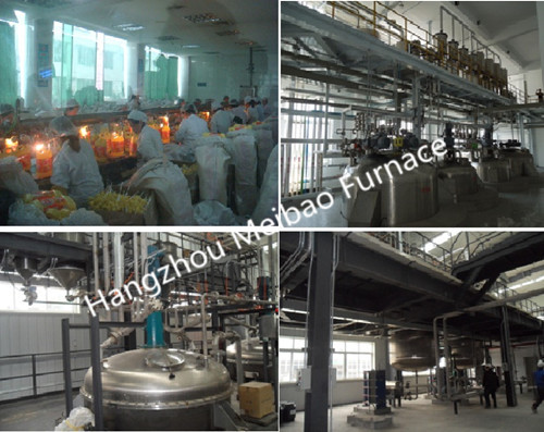 Liquid Detergent Production Line Chemical Industry