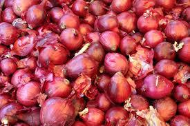 onion