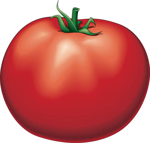 Tomato