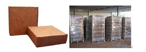 Coir Pith Blocks