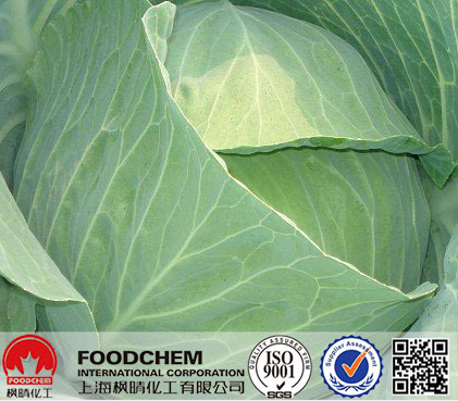 Cabbage powder