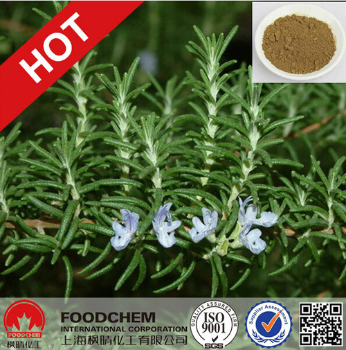 Rosemary Extract