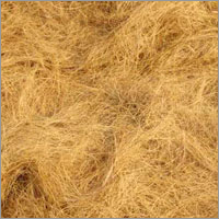 Coir