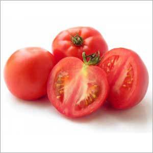 Fresh Tomato
