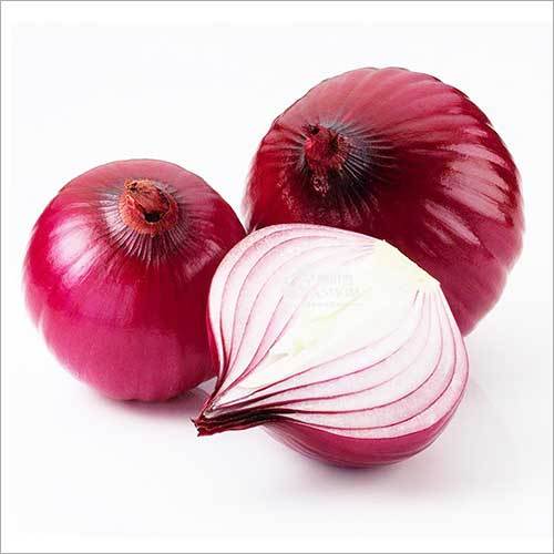 Fresh Red Onion