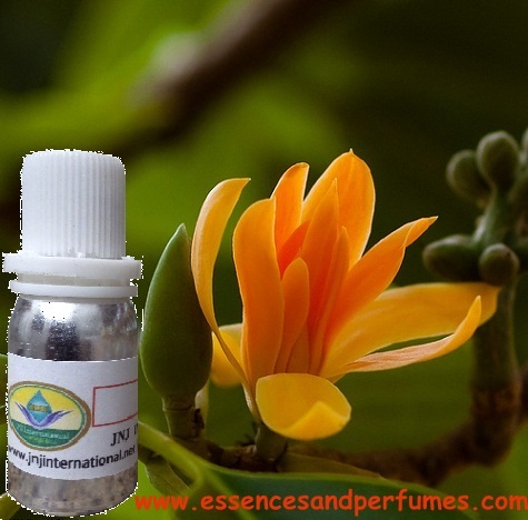 Musk Flora Fragrance Oil
