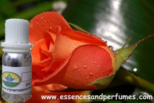 Musk Rose Fragrance Oil