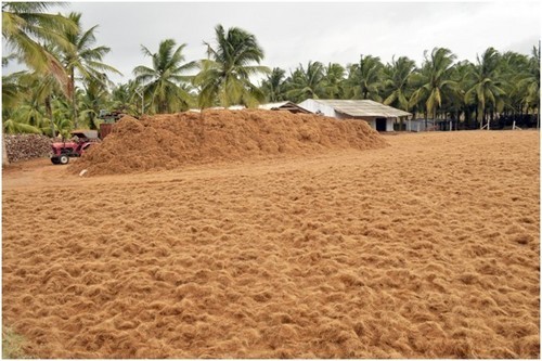 Coconut Brown Fiber