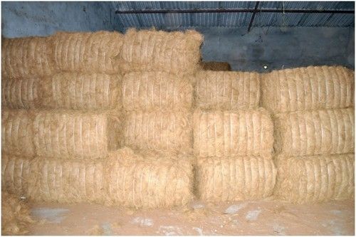 Coconut Fiber