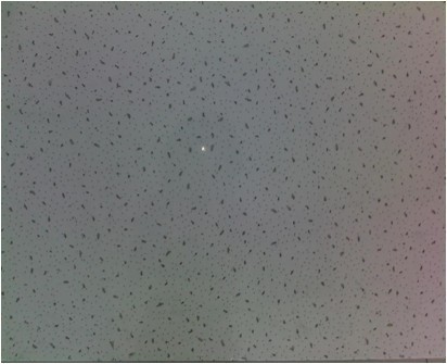 Fine Fissured Fibre Board