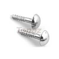 Brass Mirror Screw