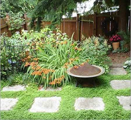 Garden Maintenance Services
