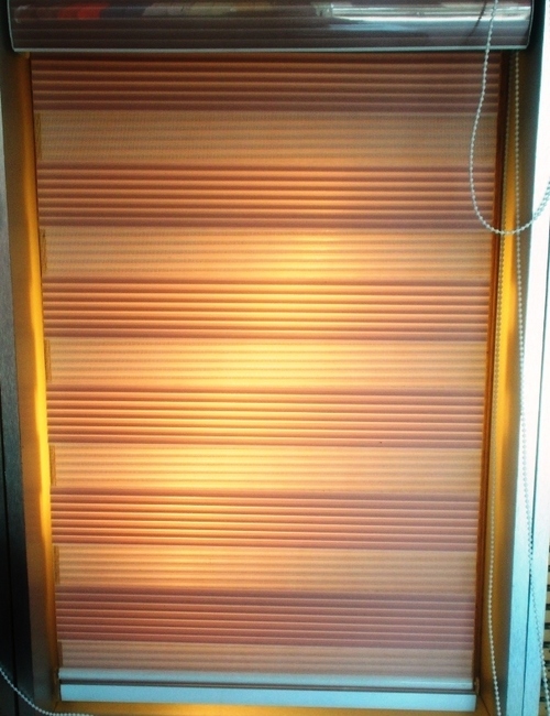 Window Zebra Blinds